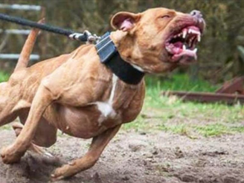 2qusj8mlcv0c8huk4c17bv06p