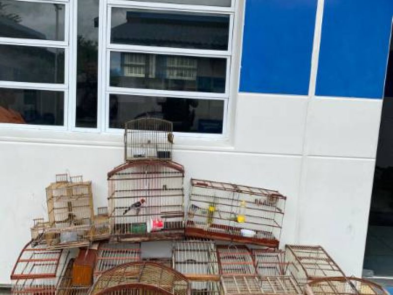 40722866551d0b123b0bc136995ad4fc