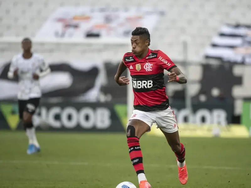 51351005053_4440db2fee_k