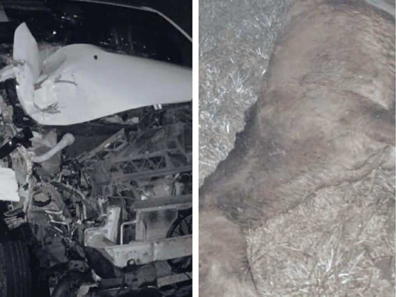 528309525_766744655769341_6855751298561323562_n