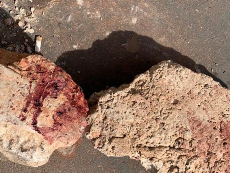 5349016affaaf0348264a86321e65494