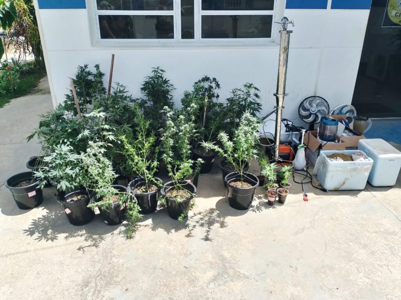 7aa6e024-6938-43c4-b08d-0c5c1202737d