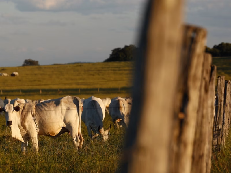 8234c0b5ad7632c38d7e8dfeebd617c7