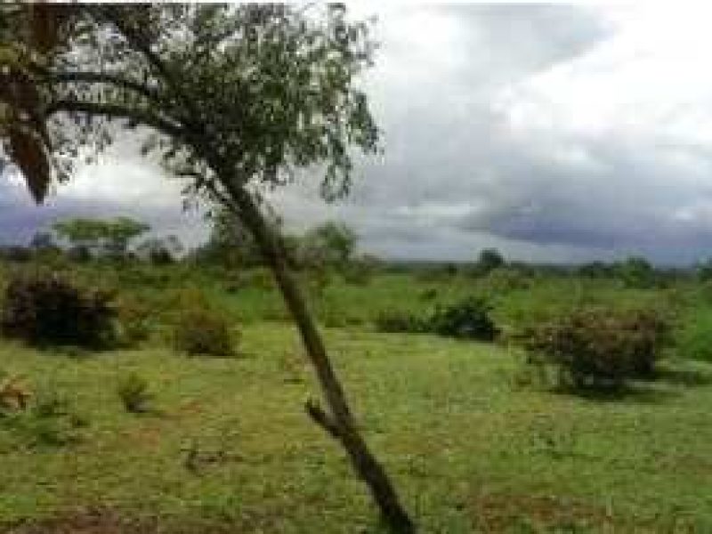 ABAD43D2-82B7-48F2-8F96-D4FE6AAD1D77