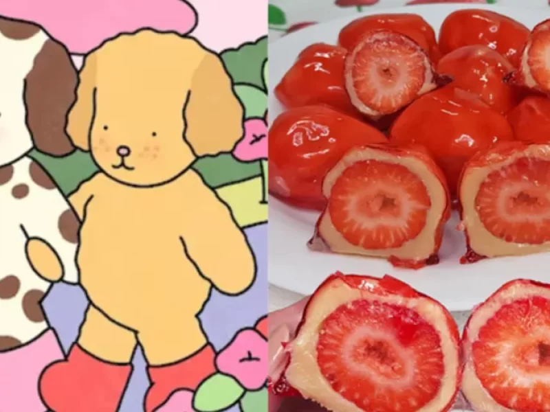 Bobbie-goods-e-morango-do-amor-por-que-essas-modin0130962900202507290949-ScaleOutside-1