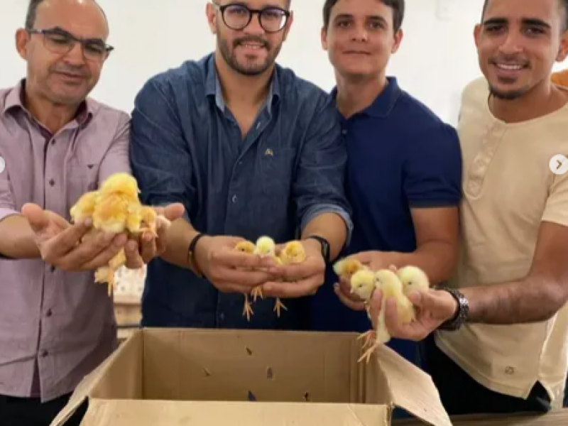 Captura-de-tela-2025-05-14-044447