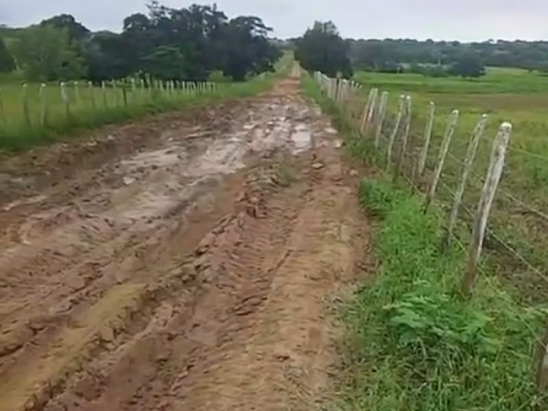 Captura de tela 2025-07-01 172207