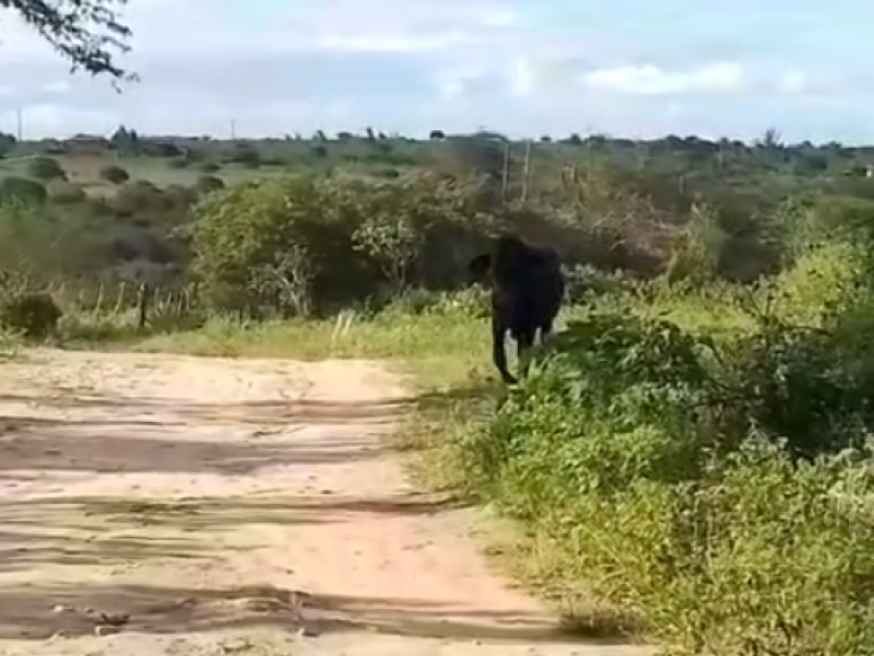 Captura de tela 2025-07-07 170108