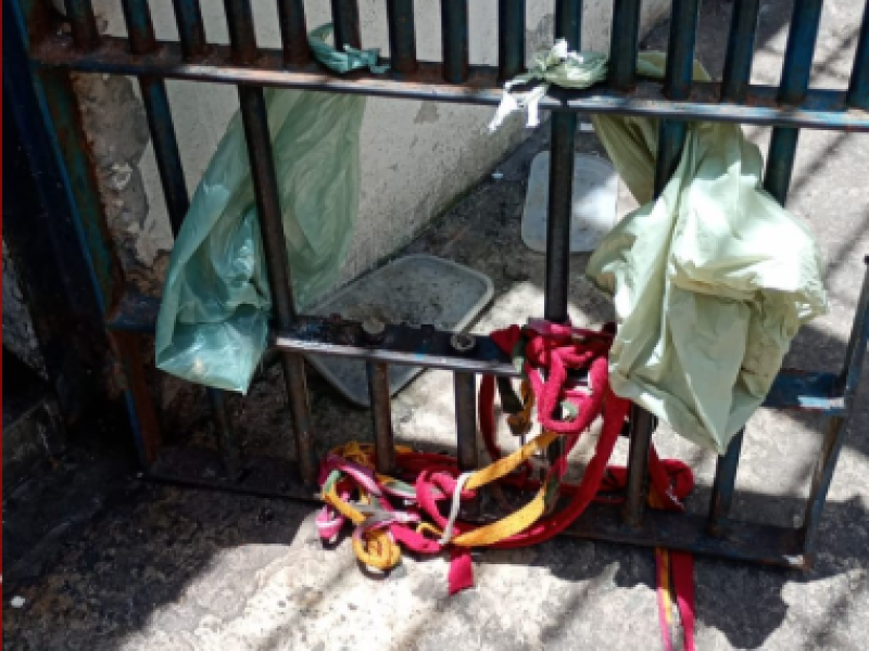 Captura de tela 2025-10-13 174911