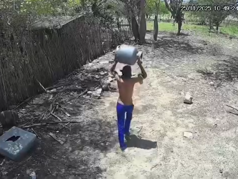 Captura de tela 2025-11-26 150420