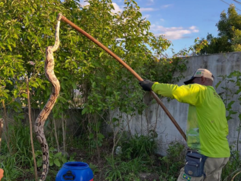 Captura de tela 2026-03-12 154317