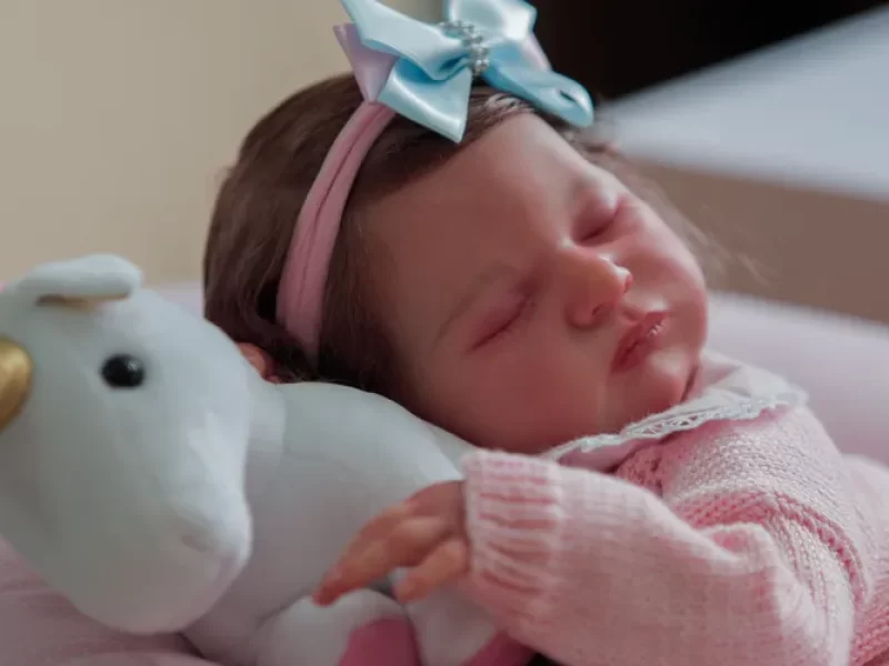 Casal-briga-por-guarda-de-bebe-reborn-apos-divorci0128633000202505132230-ScaleOutside-1