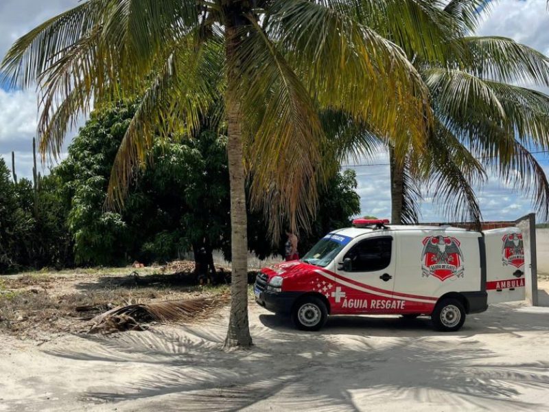 IMG-20260130-WA0255-768x572