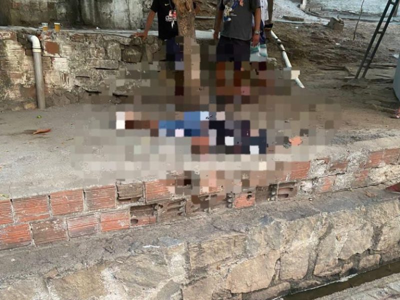 IMG-20260219-WA0018-768x690