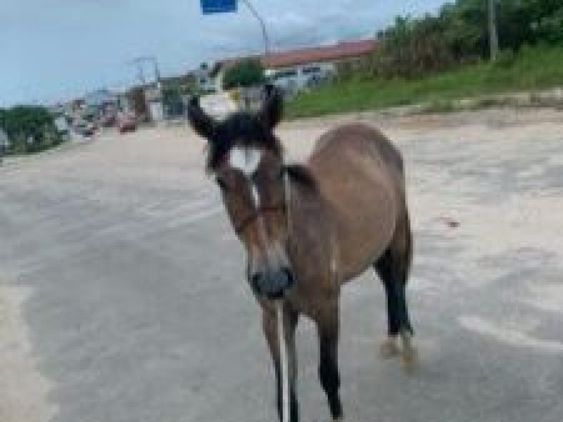 IMG-20260303-WA0311-225x300