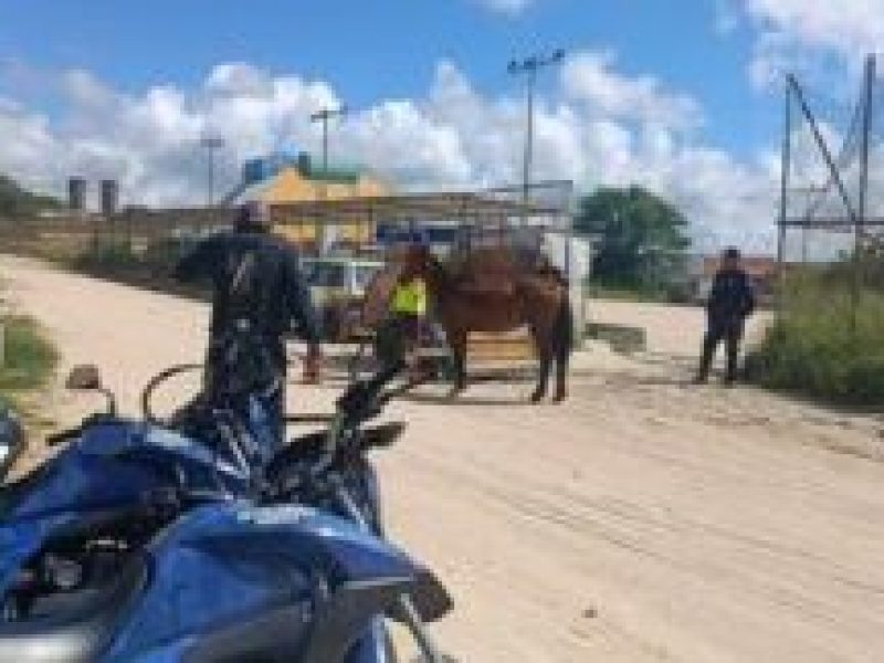 IMG-20260319-WA0236-225x300