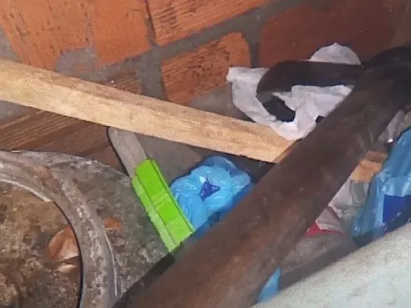 Mulher-e-morta-pelo-companheiro-com-golpes-de-mach0130979200202507162237-ScaleOutside-1