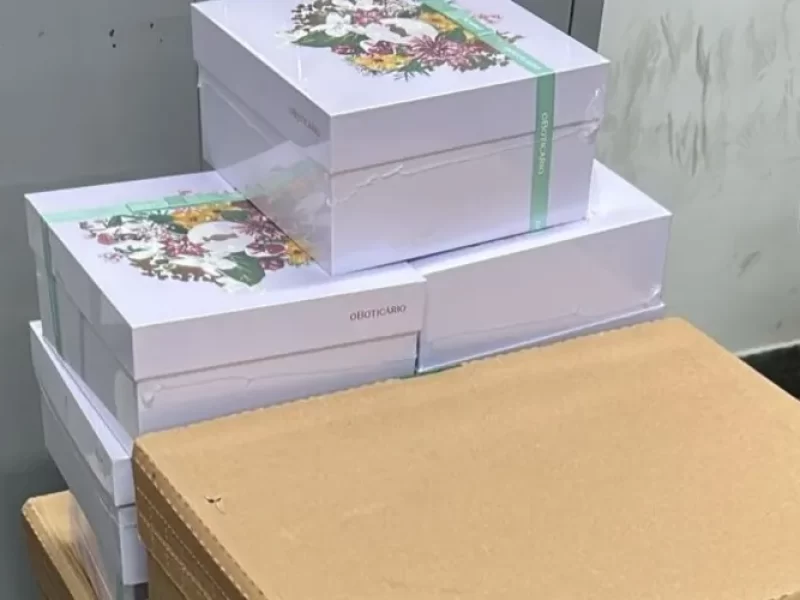 Policia-apreende-no-Feiraguay-cosmeticos-que-nem-f0132705100202512052151-ScaleOutside-1