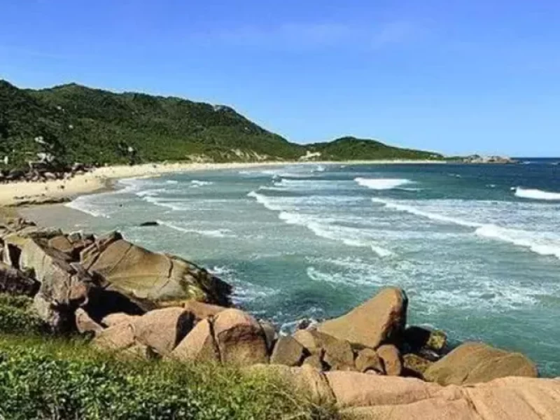 Vereador-posta-foto-nu-e-convoca-eleitores-para-ce0129790000202506110805-ScaleOutside-1