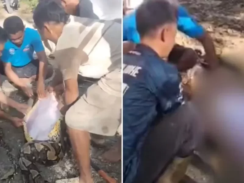 Video-corpo-de-homem-e-retirado-da-barriga-de-cobr0129930700202507071719-ScaleOutside-1