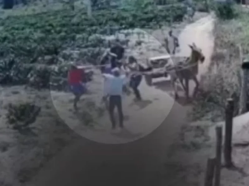 Video-mostra-homem-sendo-morto-a-pauladas-por-fami0131153600202508171219-ScaleOutside-1