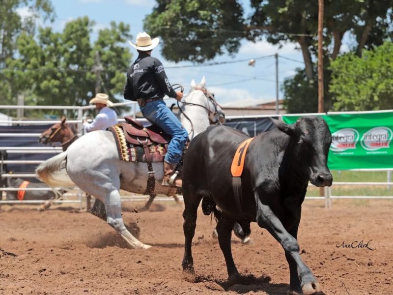 WhatsApp-Image-2025-01-26-at-09.25.24-1024x813