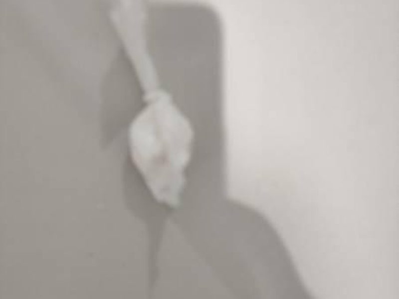 WhatsApp Image 2025-02-01 at 20.40.11