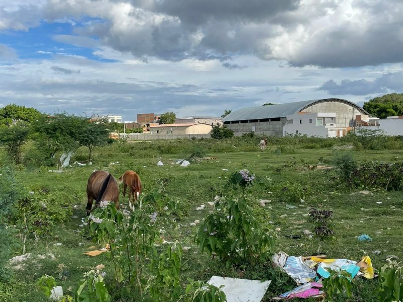 WhatsApp Image 2025-02-14 at 15.59.12 (1)