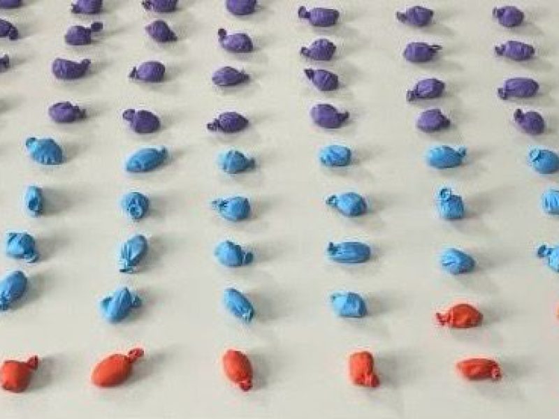 WhatsApp Image 2025-03-12 at 17.49.21