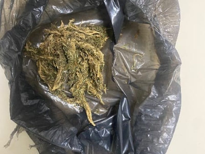 WhatsApp Image 2025-04-23 at 11.07.25