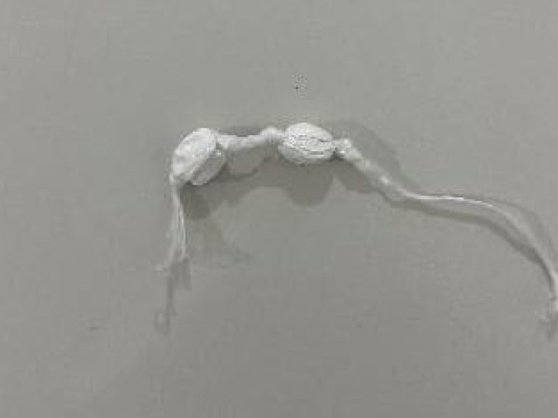 WhatsApp Image 2025-05-10 at 09.36.50