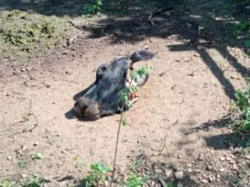 WhatsApp Image 2025-05-26 at 13.02.31