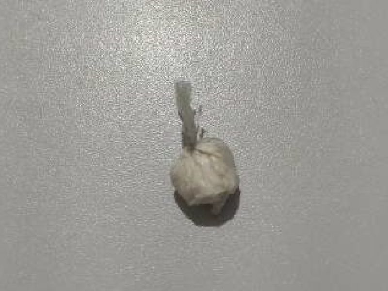 WhatsApp Image 2025-06-21 at 13.18.35