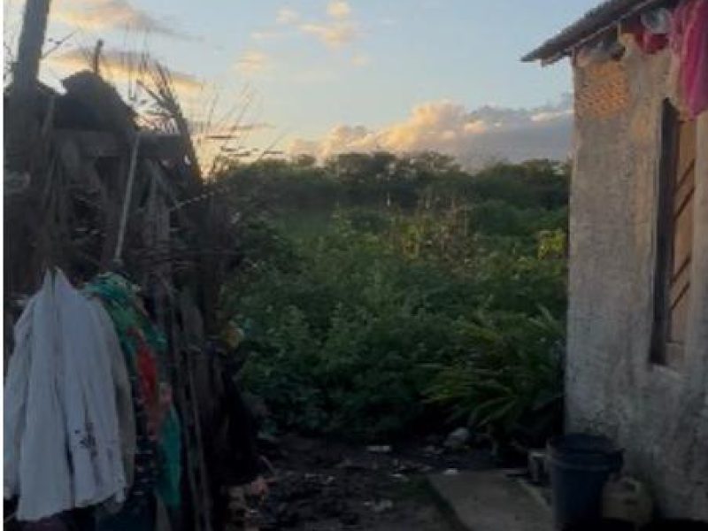 WhatsApp Image 2025-07-03 at 19.44.19