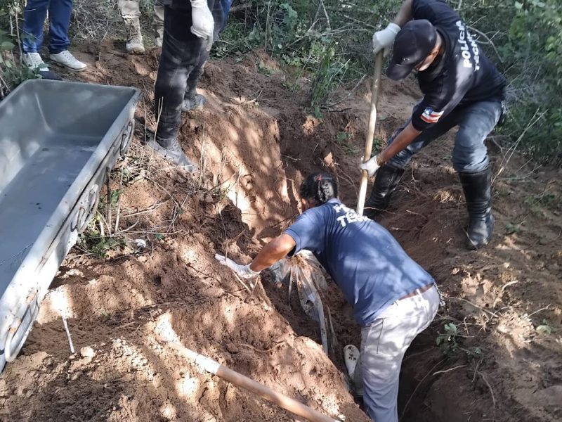 WhatsApp Image 2025-07-05 at 23.42.13