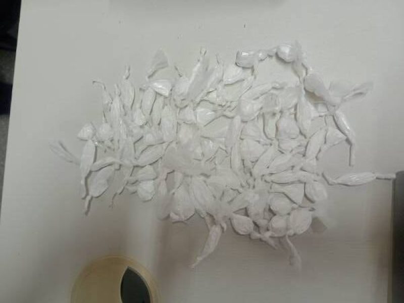 WhatsApp Image 2025-07-21 at 17.16.43