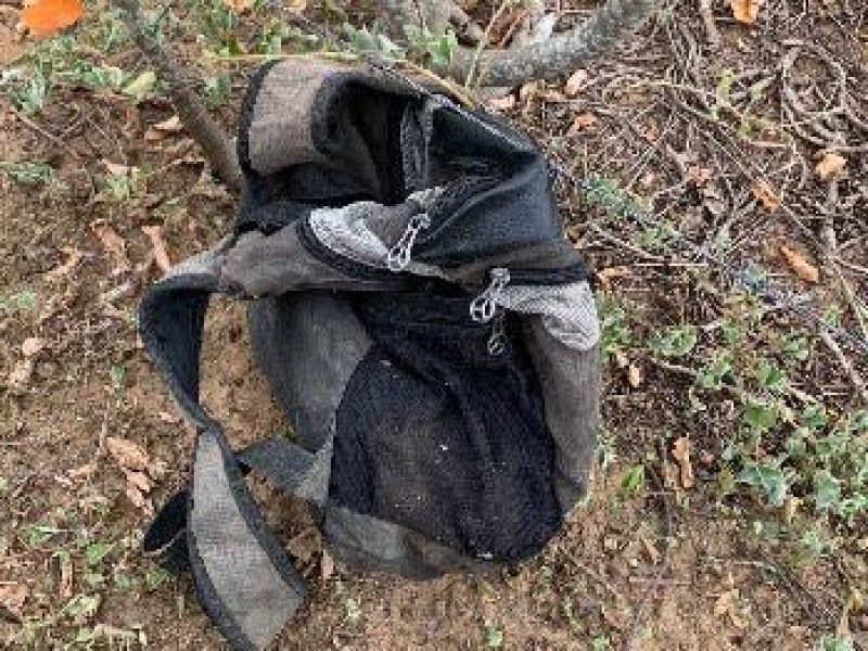 WhatsApp Image 2025-07-25 at 11.33.19