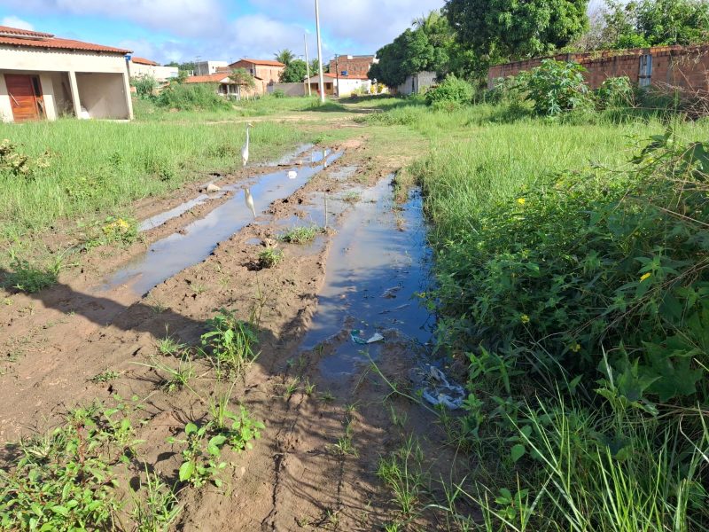 WhatsApp Image 2025-07-25 at 13.54.02