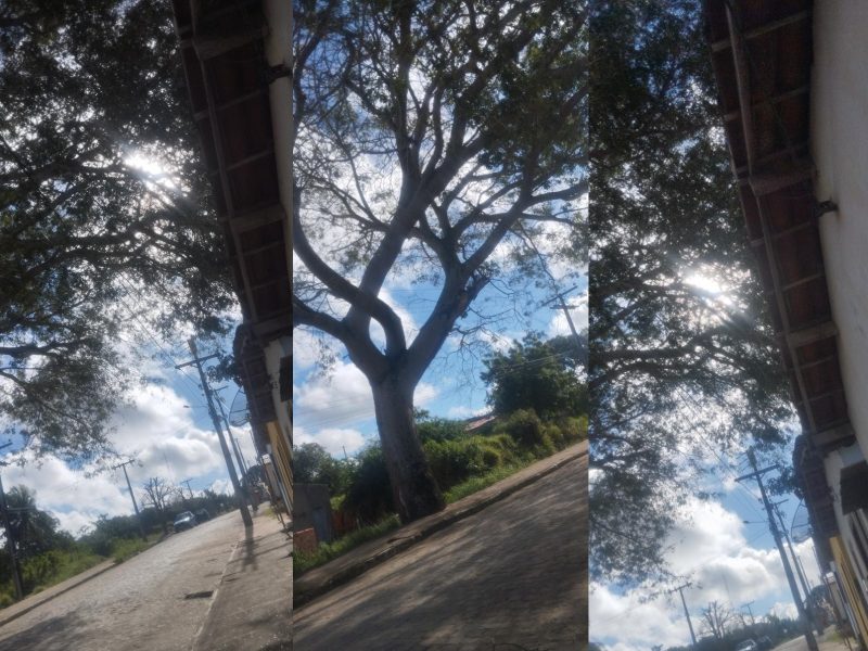 WhatsApp Image 2025-07-31 at 17.50.59 (2)