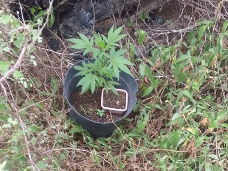 WhatsApp Image 2025-08-06 at 15.51.10