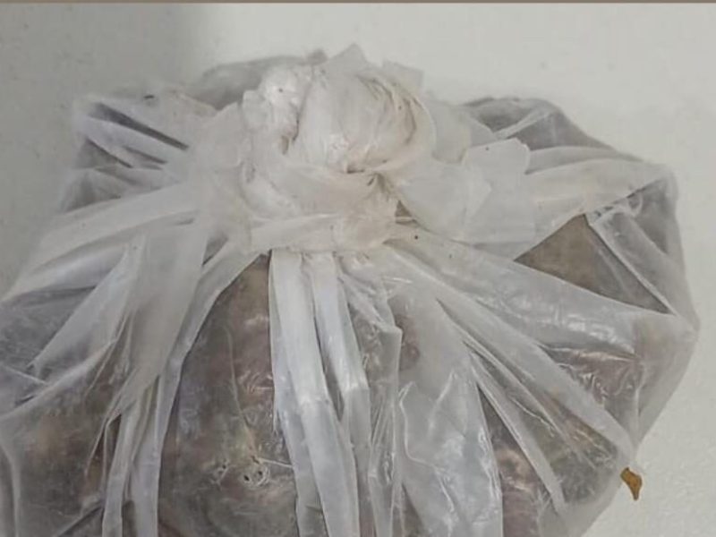 WhatsApp Image 2025-08-14 at 09.45.47