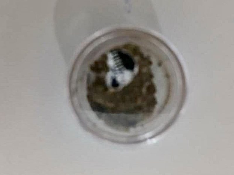 WhatsApp Image 2025-09-28 at 08.15.12