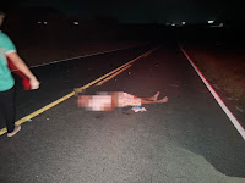 WhatsApp Image 2025-10-13 at 23.37.30