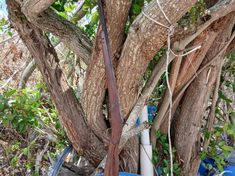 WhatsApp Image 2025-10-16 at 18.05.44