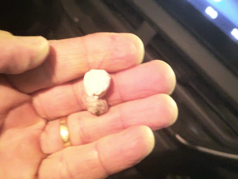 WhatsApp Image 2025-10-21 at 08.17.23