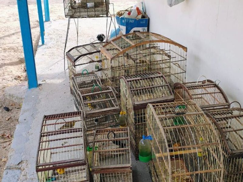 WhatsApp Image 2025-10-29 at 11.32.10