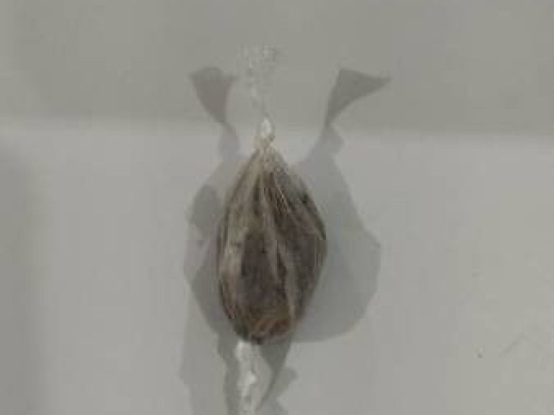 WhatsApp Image 2025-11-09 at 20.23.52