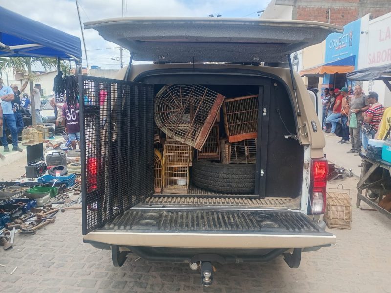 WhatsApp Image 2025-11-10 at 10.21.41 (1)