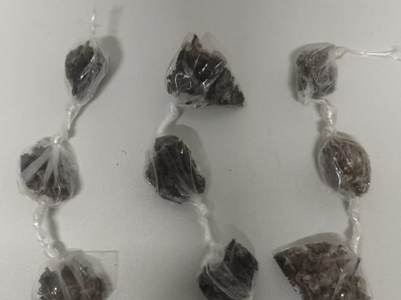 WhatsApp Image 2025-11-12 at 07.13.46