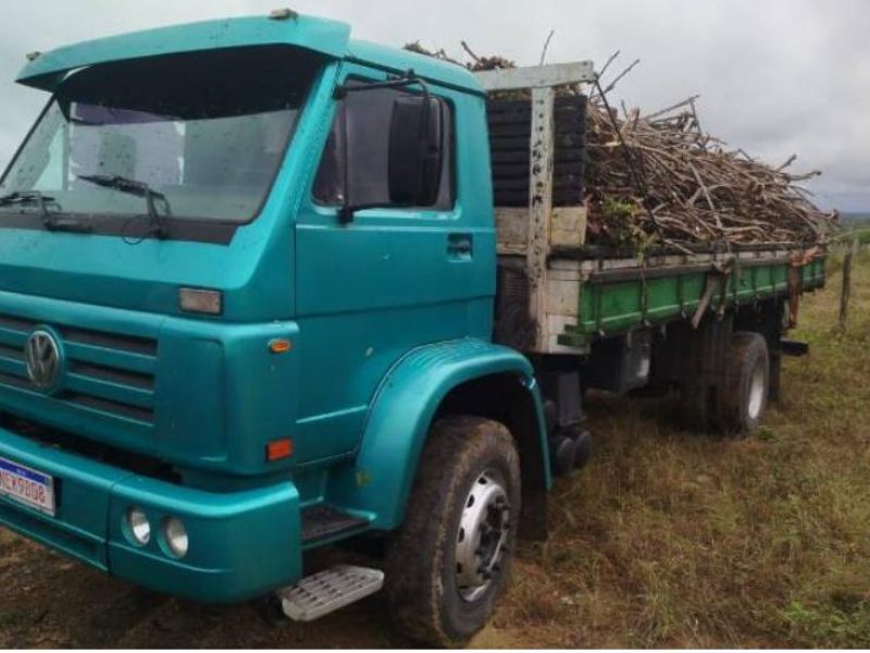 WhatsApp Image 2025-11-12 at 13.17.06